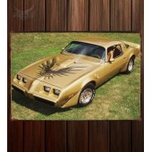 Металлическая табличка Pontiac Firebird Trans Am 551